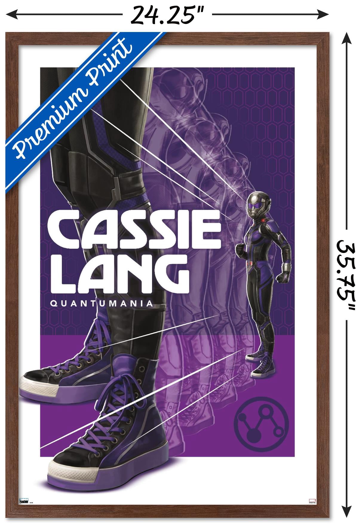 Marvel Ant-Man And The Wasp: Quantumania - Cassie Lang Wall Poster, 22.375" x 34" Framed