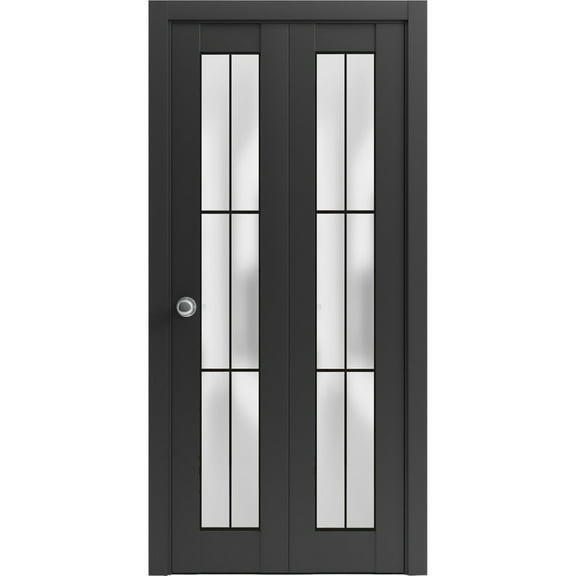Sliding Closet Bi-fold Doors 36 x 80 inches | Planum 2122 Matte Black Frosted Glass | Sturdy Tracks Moldings Trims Hardware Set | Wood Solid Bedroom Wardrobe Doors