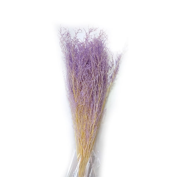 Billuyoard Flores secas portátiles, plantas artificiales ligeras, flores naturales, ramo de hierba seca para sala de estar, boda, hogar Decoración del hogar Púrpura Billuyoard HA073024-03