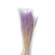 thumbnail image 1 of Billuyoard Flores secas portátiles, plantas artificiales ligeras, flores naturales, ramo de hierba seca para sala de estar, boda, hogar Decoración del hogar Púrpura Billuyoard HA073024-03, 1 of 1