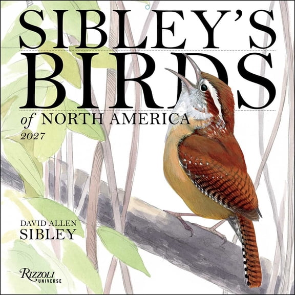 Sibley's Birds of America 2027 Wall Calendar, (Paperback)