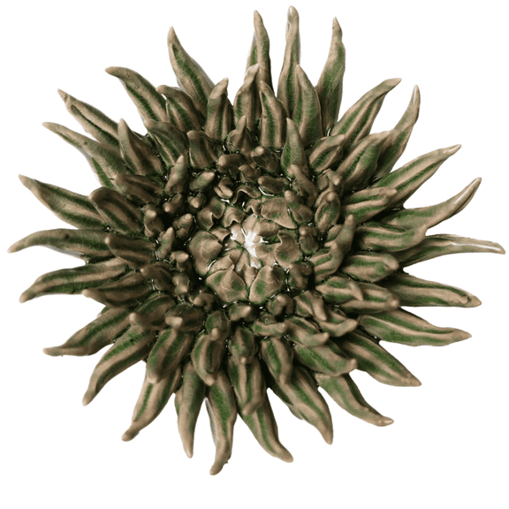 chive Olive Mum Coral Flower