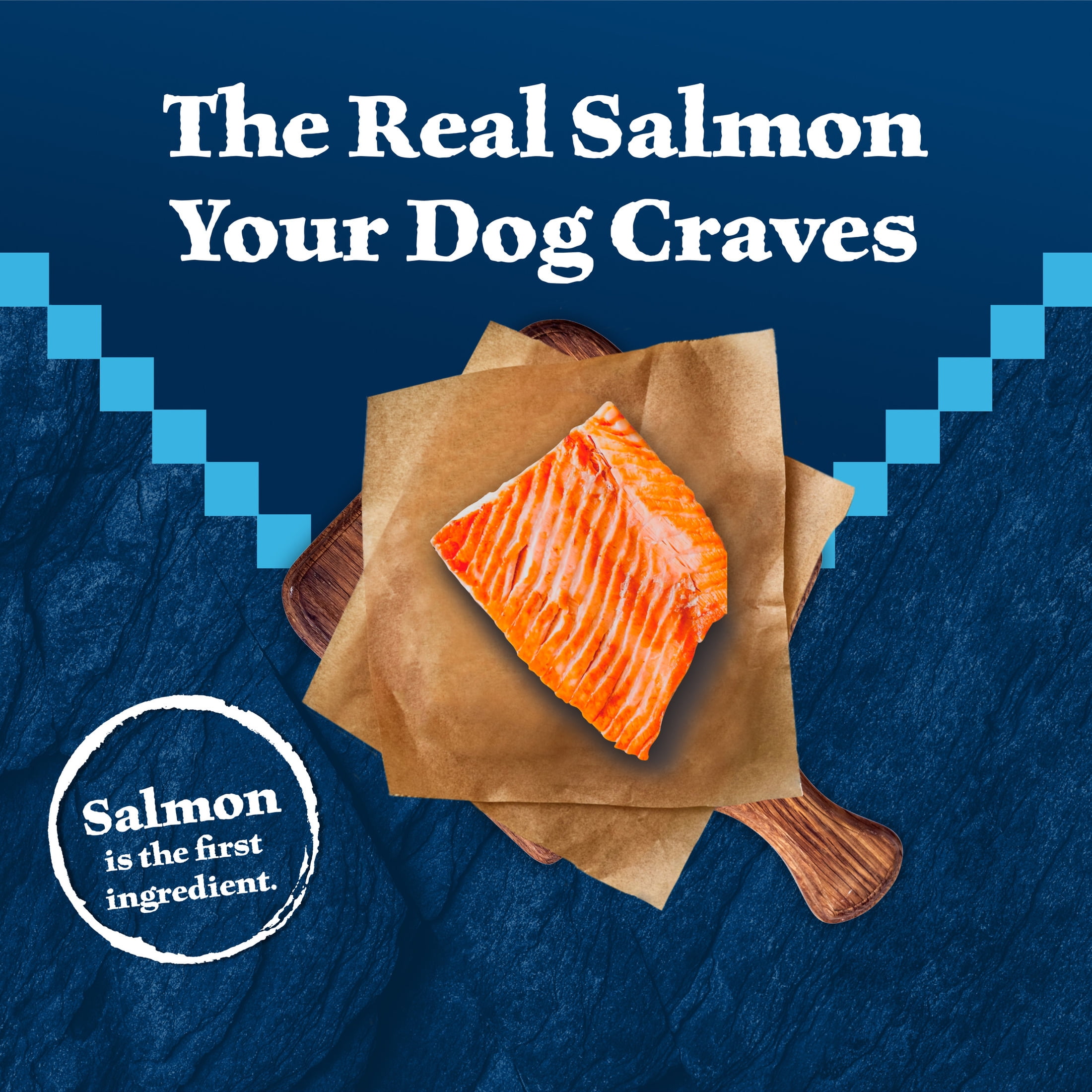 Blue Buffalo Wilderness Natural High-Protein Adult Dog Dry Food, Salmon Recipe, 28-lb Bag