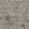 thumbnail image 3 of SAFAVIEH Florida Douglas Floral Vines Shag Area Rug, 3 of 9
