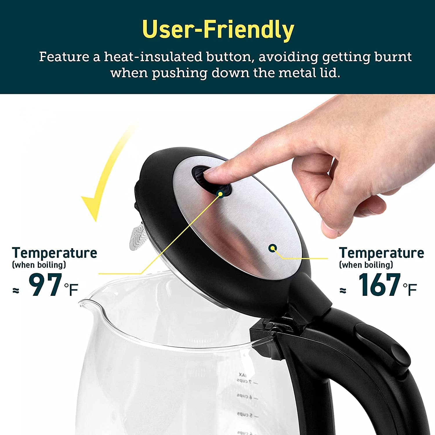 Cosori Black 2-Cup Corded Digital Electric Kettle in the Water Boilers &  Kettles department at