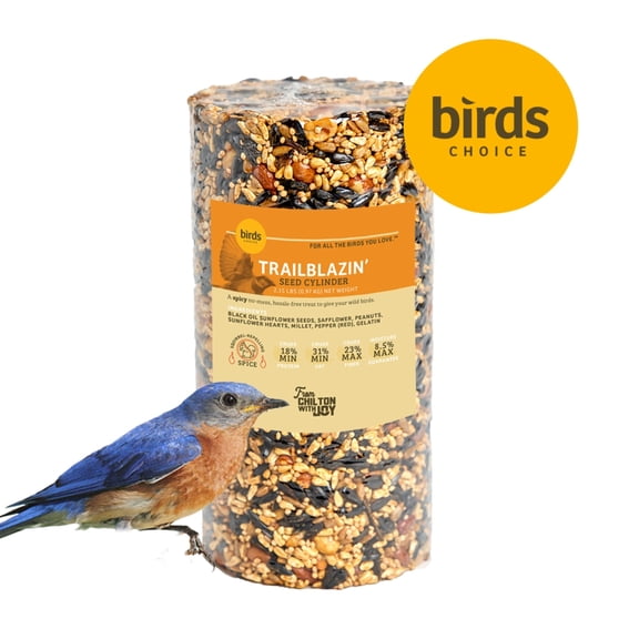 Birds Choice Trailblazin' Seed Cylinder - Small