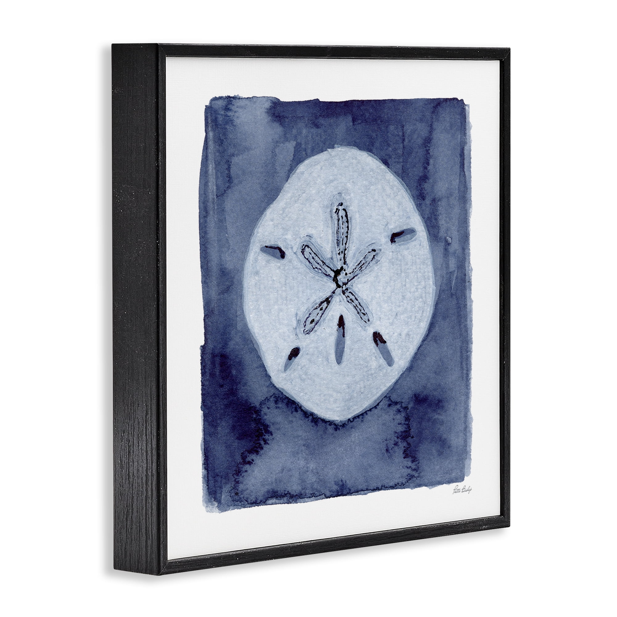 Stupell Industries White Sand Dollar on Indigo Black Framed Giclee Art, design by Patti Bishop