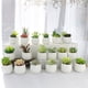 thumbnail image 5 of Plantas de peluche simuladas Plantas en macetas de cerámica Bonsái de peluche simulado Flores simuladas Decoración de interiores Plantas verdes, 5 of 5