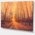 thumbnail image 2 of Route Forestière vers le Lever du Soleil, 2 of 3
