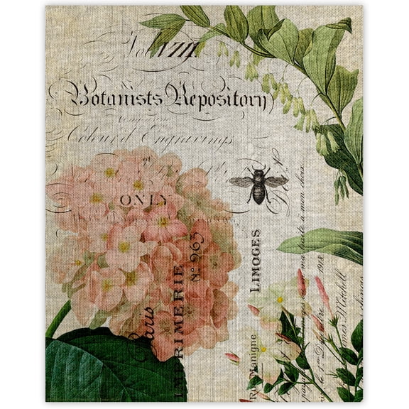 Botany Collage IV by Stacey Powell Wrapped Canvas Art Print