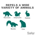 Safer Brand Critter Ridder Ready-to-Use Spray Animal Repellent - 32 fl ...