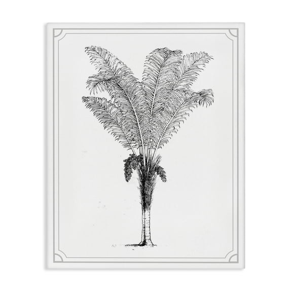 Vintage & Minimal Palm Canvas Wall Art, design by Lettered and Lined