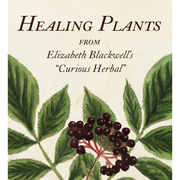 Tiny Folio Healing Plants: From Elizabeth Blackwell's a Curious Herbal, (Hardcover)