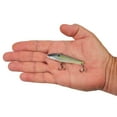 thumbnail image 4 of Berkley Ripfish, 7, Ghost Sexy Shad, 4 of 5