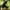 black, variant on Black Butterflys Fairys Garden Alexs Decorative Ground Stake Christmas Decorations for Home Of The Day