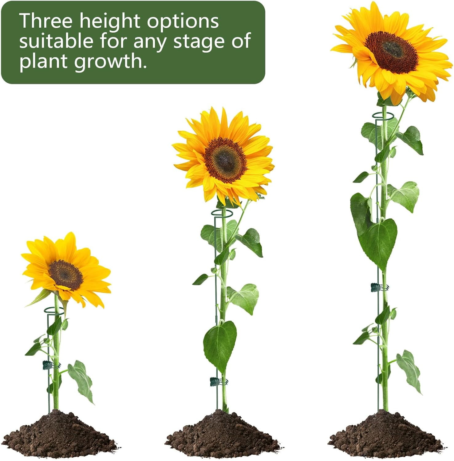 36 Inch Plant Stakes Tall, 5 Set Support for Indoor or Outdoor, Three Sizes(12 24 Inch) Garden Plants Cages Rings Flowers Tomato Amaryllis Lily Peony Rose