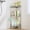 Silver, variant on Standing Corner Shower Caddy - 3 Tier Shower Organizer Corner with Soap Holder and 4 Hooks, Rustproof Bathroom Storage Shelves with Adhesives, Black