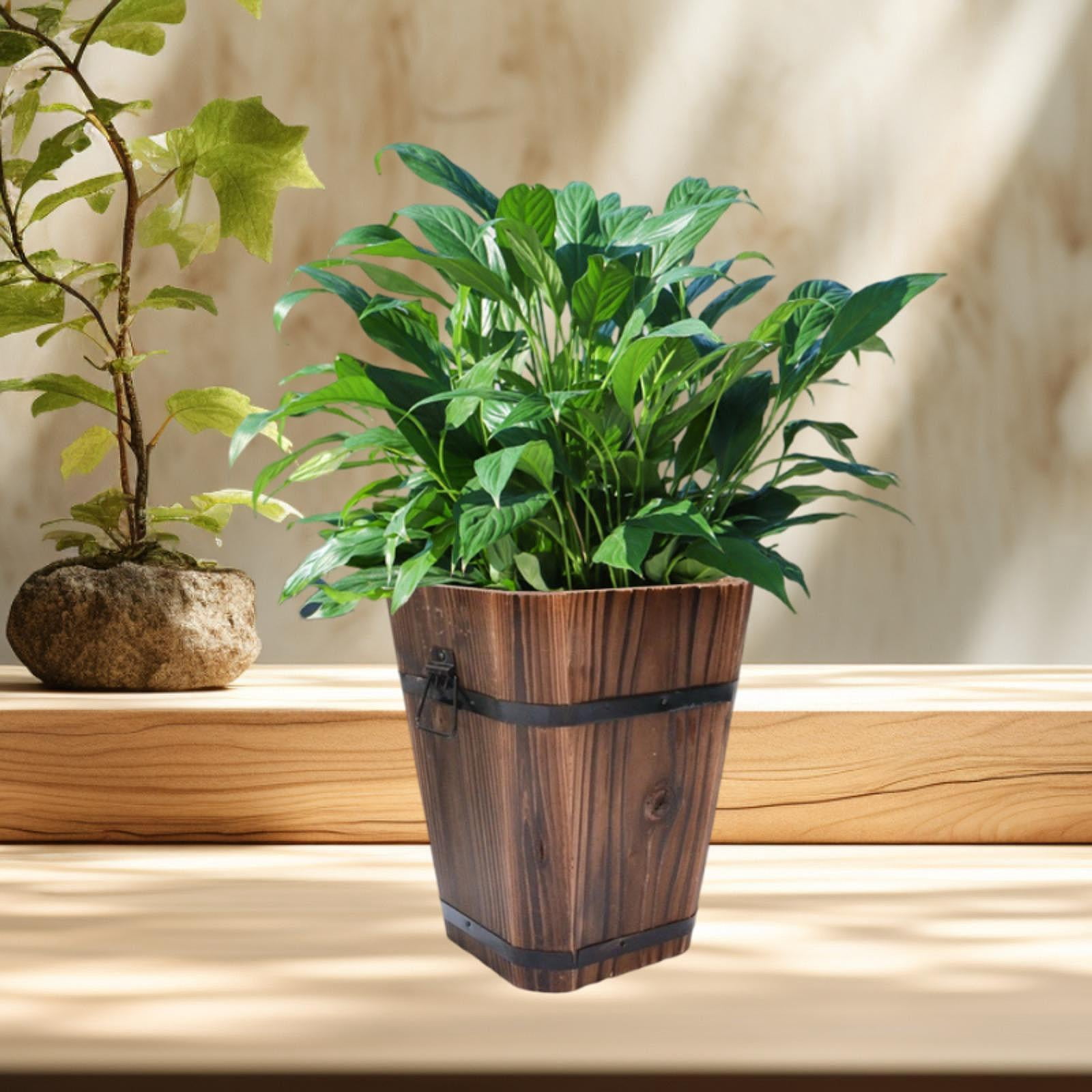 figatia Wooden Bucket Planter Flower Pot Multipurpose Rustic Plant Container for Windowsill Living Room Indoor/Outdoor L
