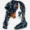 thumbnail image 3 of CafePress - Bernese Mountain Dog Sweatshirt - Crew Neck Sweatshirt, 3 of 4