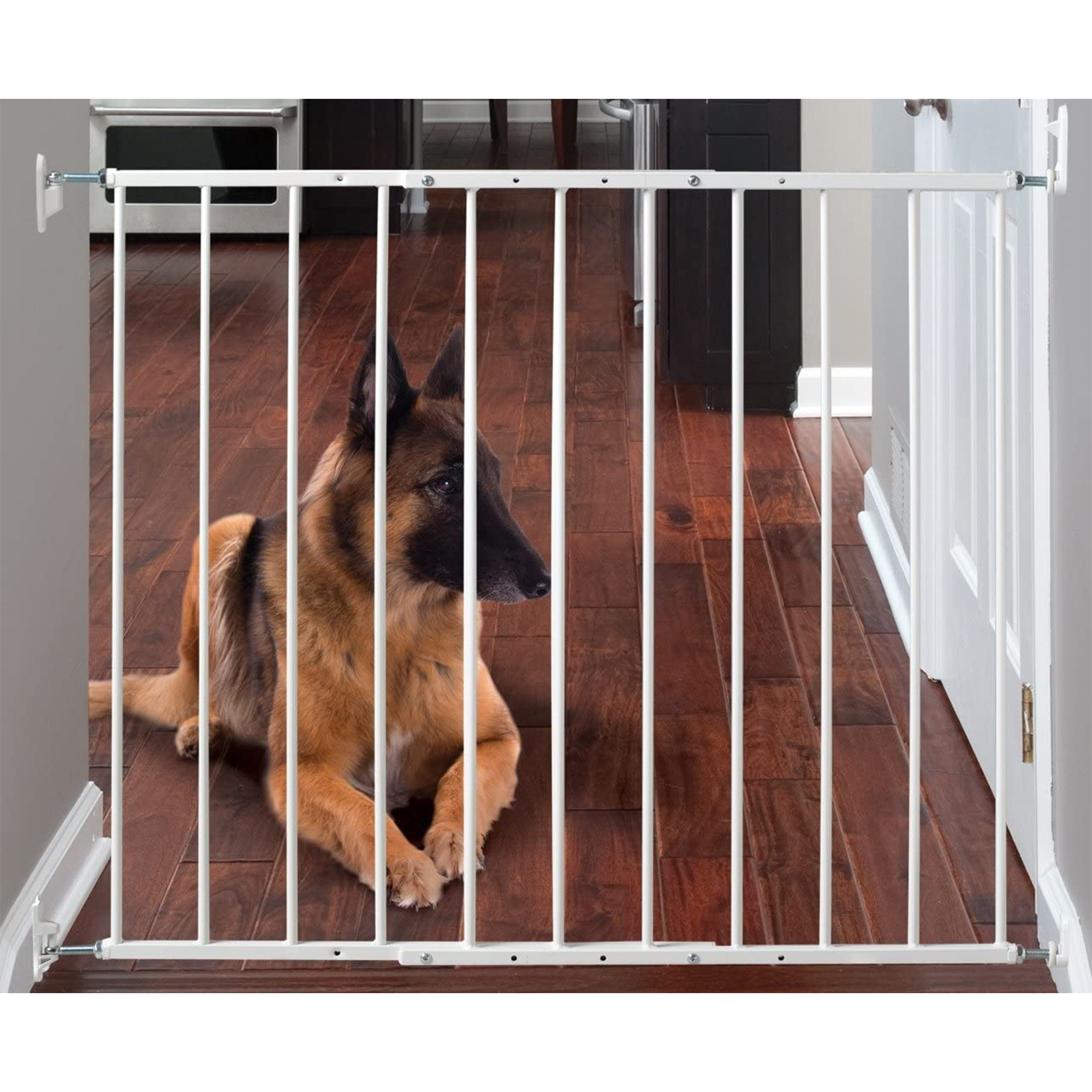 Command Pet PG5200 31"Wall Mounted Dog and Other Animal Gate, White