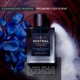 thumbnail image 3 of Eau de Parfum Mistral Cedarwood Marine 100 ml, 3 of 7
