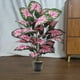 thumbnail image 5 of Plantas artificiales en maceta | Planta tropical artificial con 24 hojas realistas | Planta artificial de 84 cm de altura para la decoración del hogar y la oficina, 5 of 7