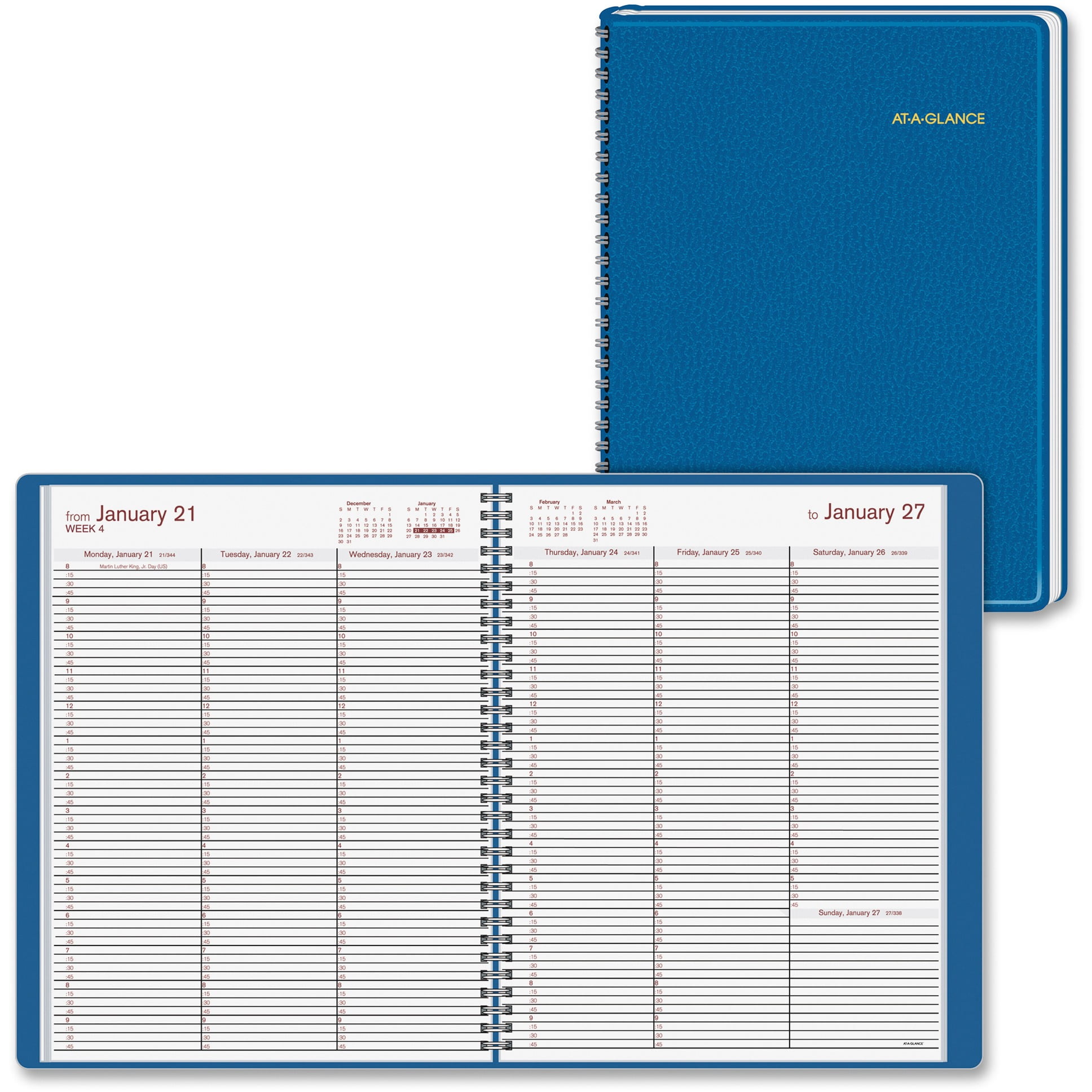 At-A-Glance Fashion Weekly Appointment Book