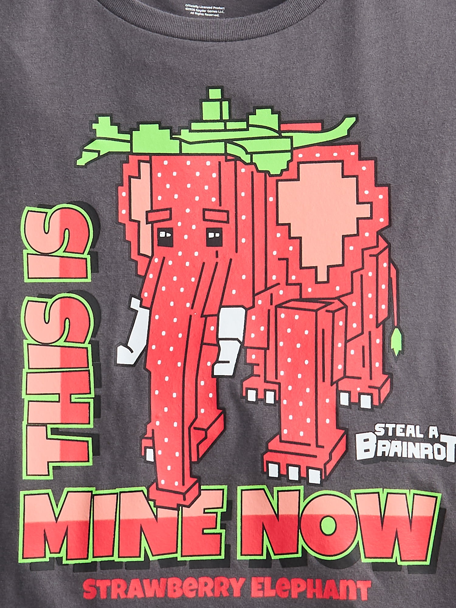 Roblox "Steal a Brainrot" Girls' Short Sleeve Graphic T-Shirt, Sizes 4-18