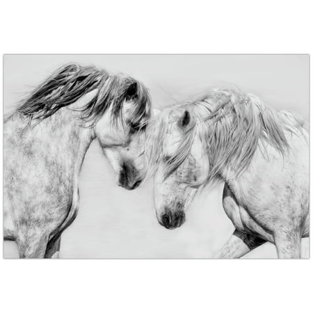 UPC: 0028201276727 | Caballo Blanco Equine Frameless Free Floating Tempered Glass Panel Graphic Wall Art   32  x 48