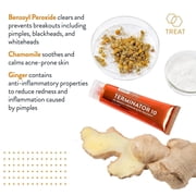 AcneFree Terminator 10 Acne Spot Treatment Cream with 10% Benzoyl Peroxide, 1 fl oz