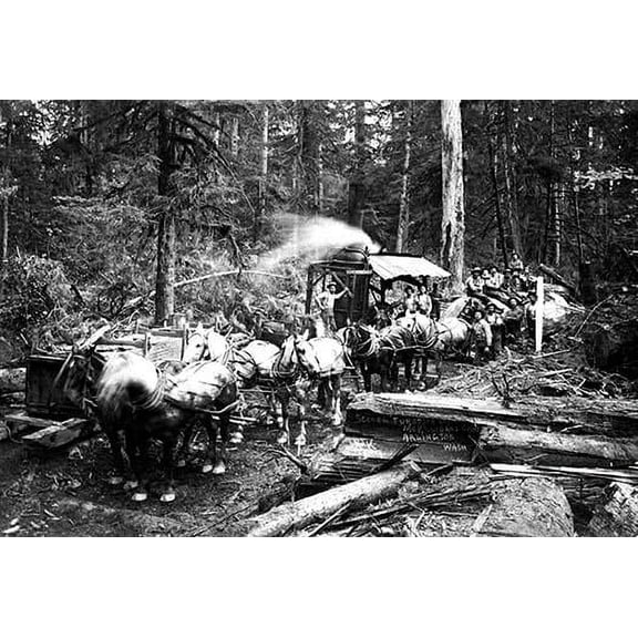 Loggers and Their Logs Fine art canvas print (20" x 30")