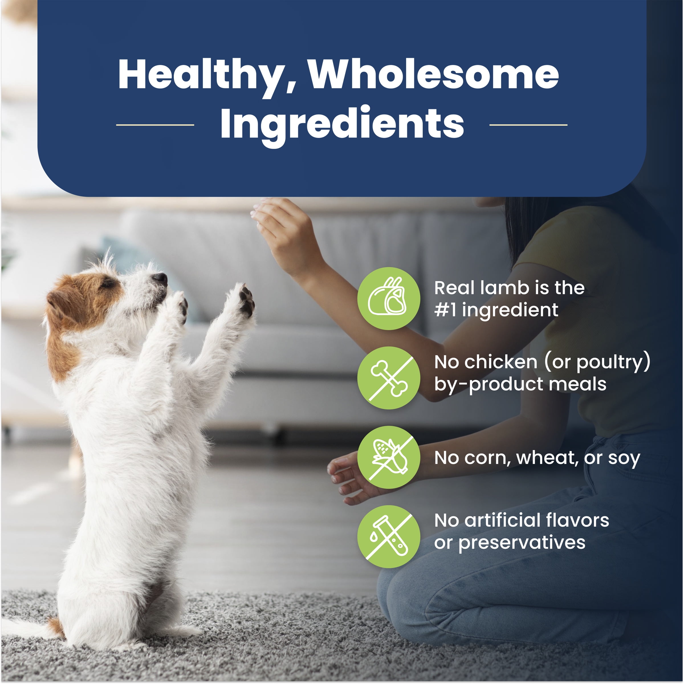 BLUE Life Protection Formula recette agneau et riz brun pour chiens adultes de race de petite taille