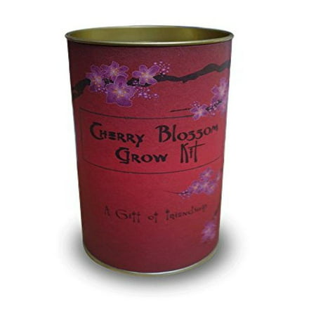 Flowering Cherry Grow Kit (Japanese Style) (Best Flowering Cherry Tree)
