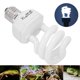 thumbnail image 3 of Lámpara De Ahorro De Energía UVB Para Reptiles, Lámpara De Ahorro De Energía UVB Con Luz Ultravioleta Para Plantas Suculentas De Calcio Para Reptiles, 3 of 7