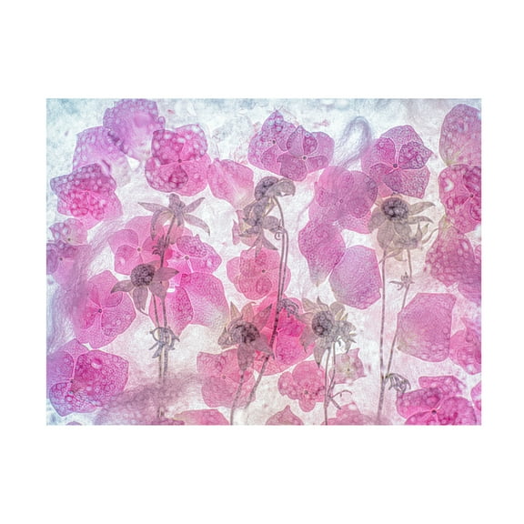 Trademark Fine Art Miharu dream of spring Canvas Wall Art