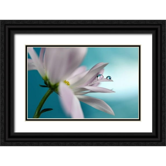 Westum, Heidi 32x22 Black Ornate Wood Framed with Double Matting Museum Art Print Titled - In turquoise Company