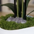 thumbnail image 2 of 23" Faux White Orchid Flower Arrangement | Realistic White Floral Display by Fiori Sempre, 2 of 7