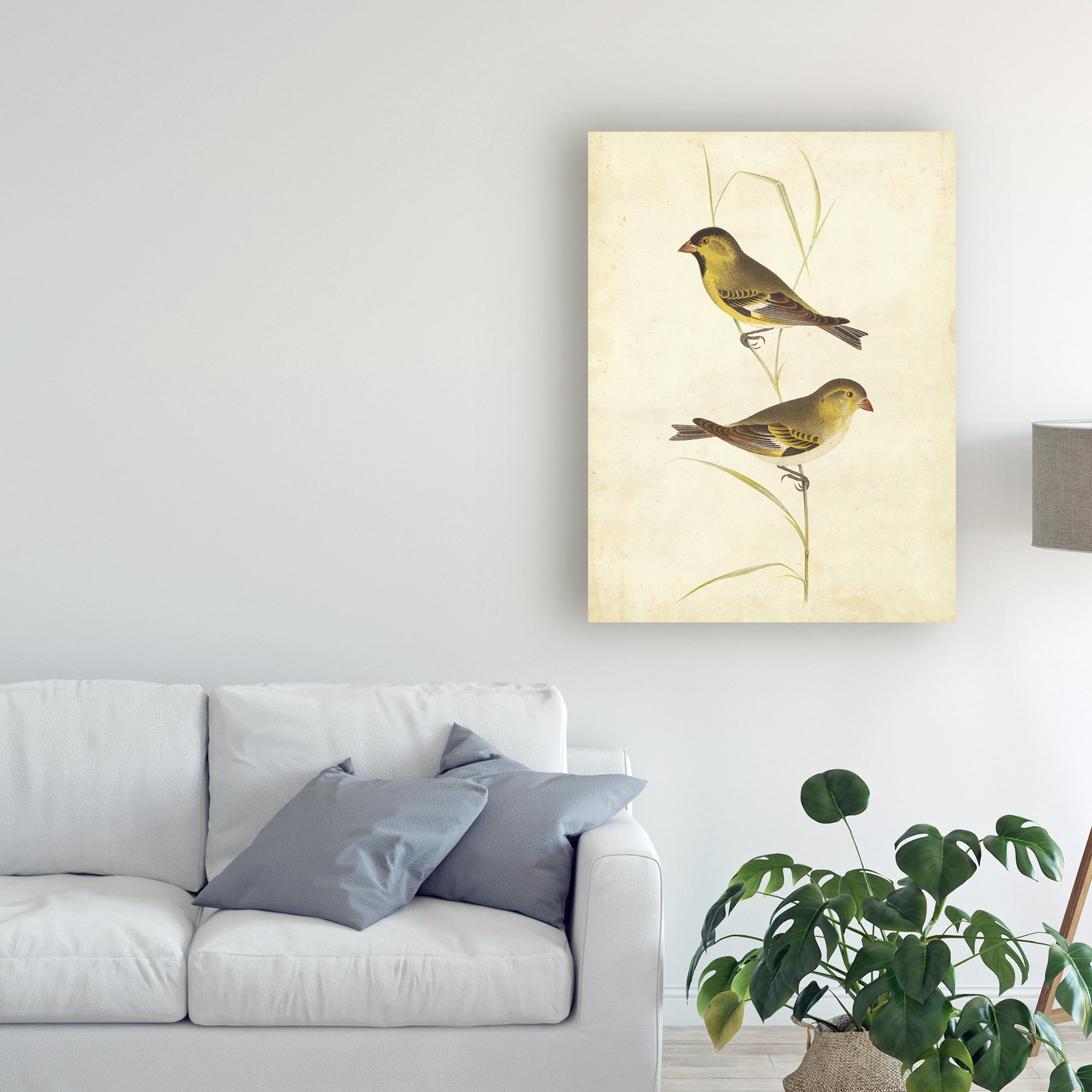 Trademark Fine Art 'Goldfinch Birds' Canvas Art by Cassin