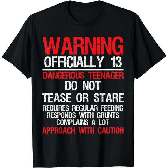 13 Years Old Warning Dangerous Teenager 13th Birthday T-Shirt