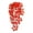 F, variant on BNNG 39-Inch Artificial Maple Vine Garland – Artificial Maple Leaves,Autumn Hanging Vines Red Ivy Plant for Bedroom Wall Decor Thanksgiving Halloween Christmas WeddingParty Garden Fireplace