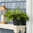 thumbnail image 2 of Mainstays Flint Resin Planter 6 in Rich Black, 2 of 6