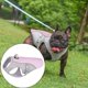 thumbnail image 4 of Chaleco de enfriamiento para perros de verano Arnés Chaqueta fresca de liberación rápida Ropa para mascotas Abrigo para caminar Entrenamiento , Rosado, s Rosa S Gloria Chaleco refrigerante, 4 of 9