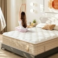 FP FLEXPEDIC Queen Mattress, 14 Inch Hybrid Queen Size Mattress in a