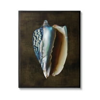 Stupell Industries Dark Conch Shell Nature Painting Gallery Wrapped Canvas Art Print Wall Art, 16 x 20