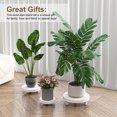 thumbnail image 6 of 3 Pcs Wood Plant Stand Indoor Outdoor, Round Wood Riser for Decor 6/8/10" Wooden Stool Display Stand Flower Pot Holder Small Planter Tray Modern Potter Decorative for Desktop Counter Room, 6 of 7