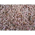 thumbnail image 3 of 5 lb Wrens Abruzzi Cereal Rye Seed Non-GMO Grain Deer Food Plot Winter Grazing Cattle Game Wildlife By JL Missouri Parts, 3 of 4