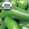 thumbnail image 4 of Ferry-Morse Organic 210MG Pepper Jalapeno Early Annual Vegetable Seeds, Full Sun, 4 of 10