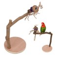 thumbnail image 4 of Bird Perch Natural Stick,  Standing Stick Detachable Safe Stable Natural  For Parrots For Birds, 4 of 8
