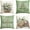 no18, variant on Bless Our Home Farmhouse Eucalyptus Leaves Throw Pillow Covers, 16 x 16 Inch Green Truck Home Sweet Cushion Case Decorations Set of 4