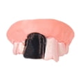 thumbnail image 1 of Spoofing Toys More Shape Funny Dentures Teeth, 1 of 4